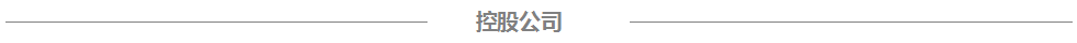 开云kaiyun电气控股公司
